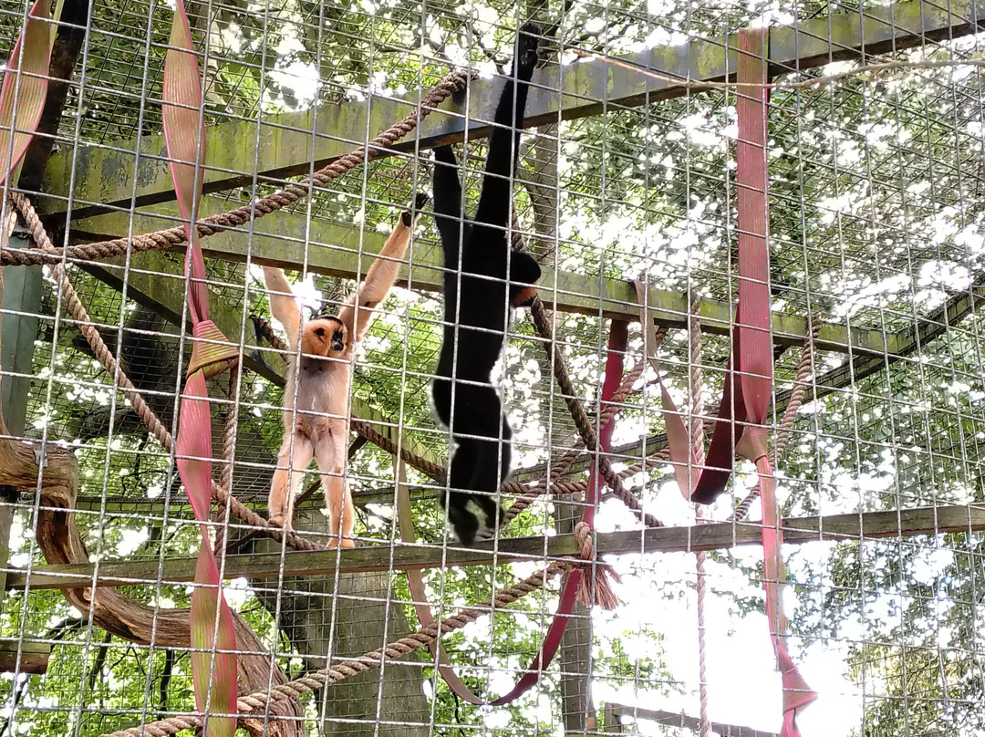 Thrigby Hall Wildlife Gardens-Filby必去景点