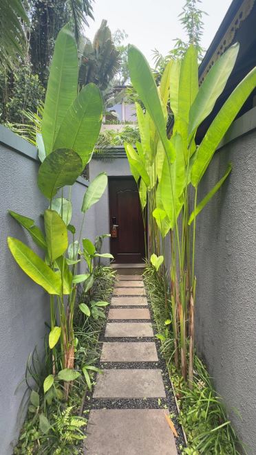 乌布萨姆拉布别墅-旅行者