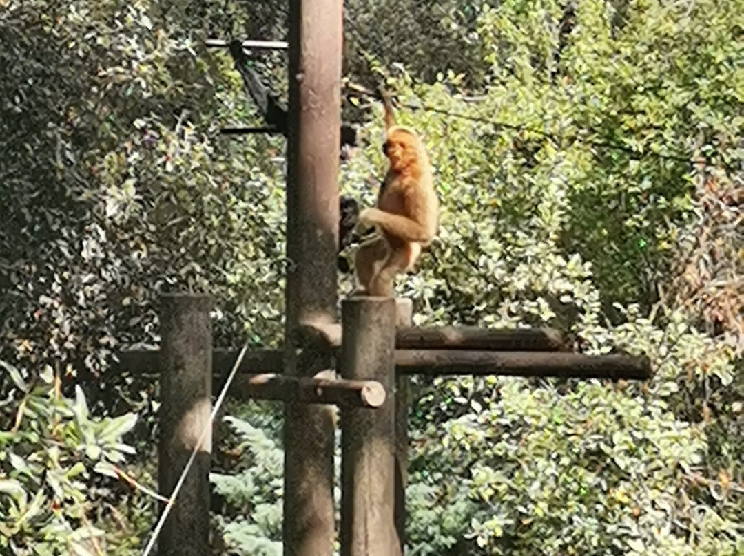Zoo de La Palmyre-La Palmyre-Les Mathes必去景点