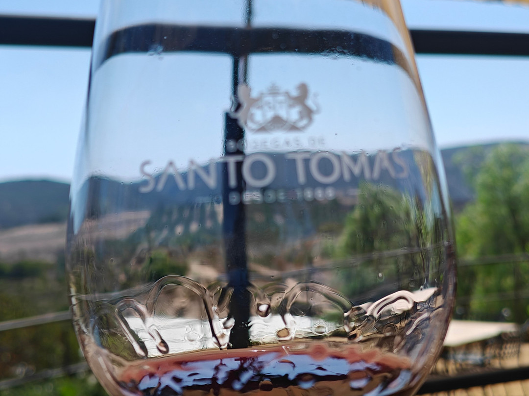 Bodegas De Santo Tomás-恩塞纳达必去景点