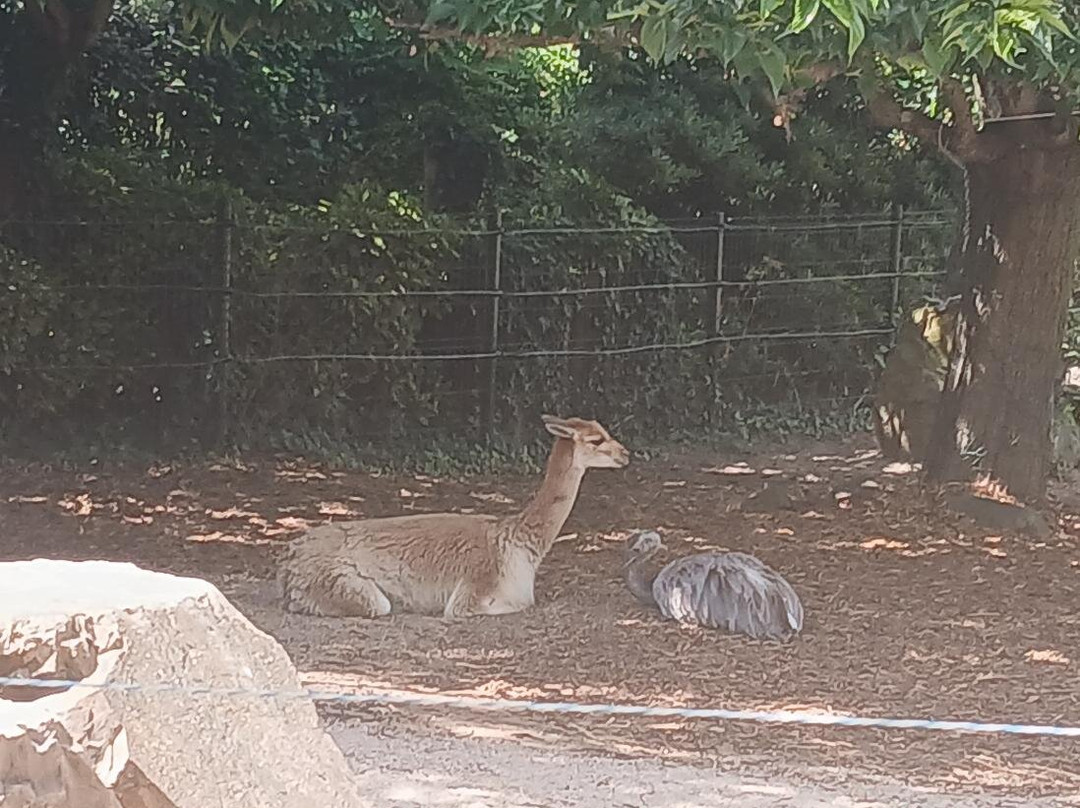 Zoo des Sables-莱萨布勒多洛讷必去景点