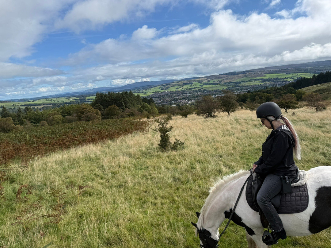 Loch Lomond Pony Trekking-Balloch必去景点