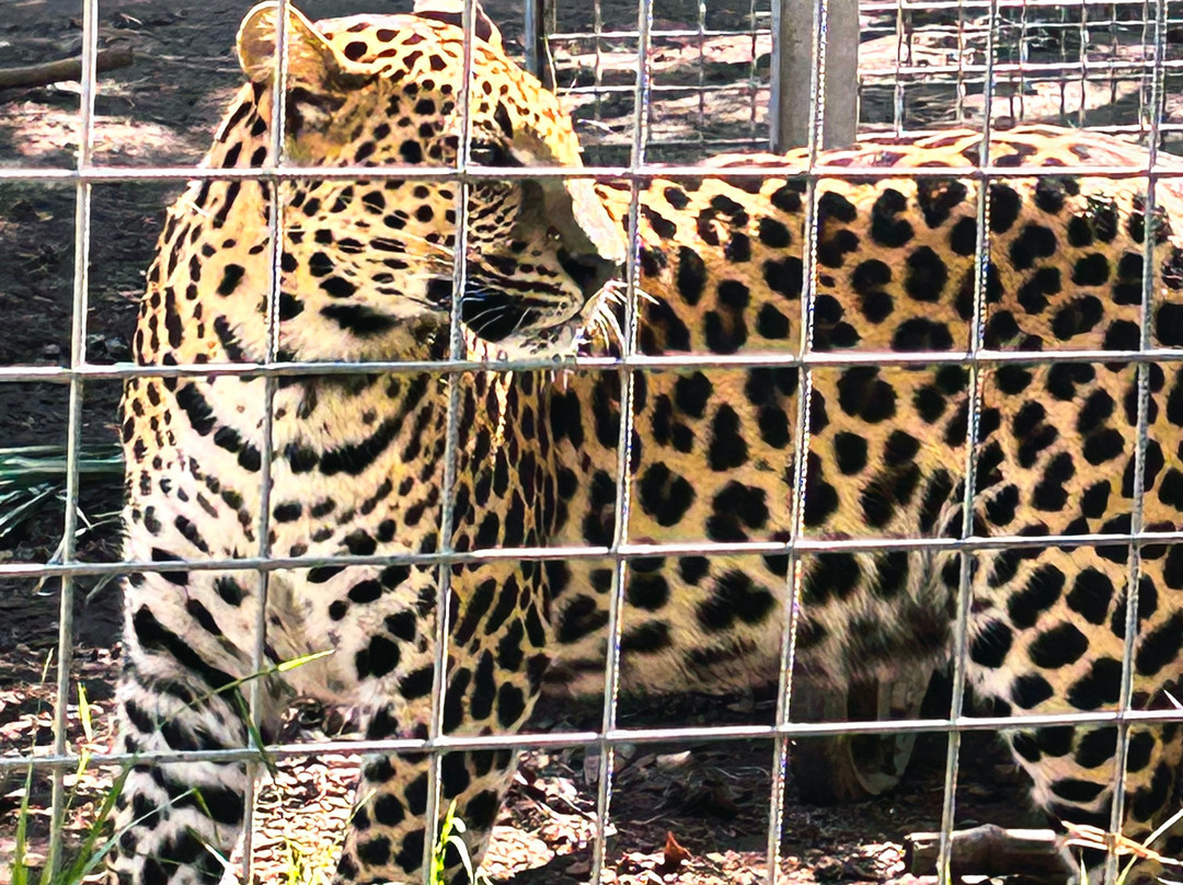 Tiger Experience-Campolongo Maggiore必去景点