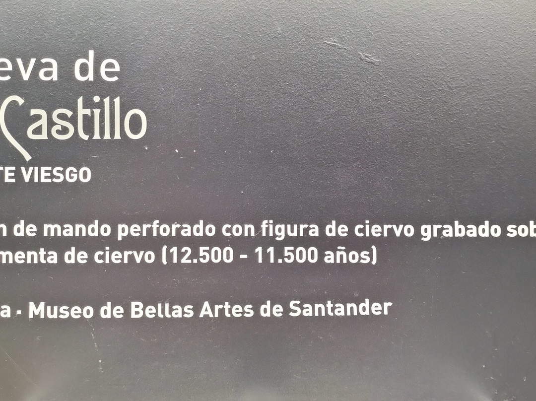 Cave of El Castillo-Puente Viesgo必去景点