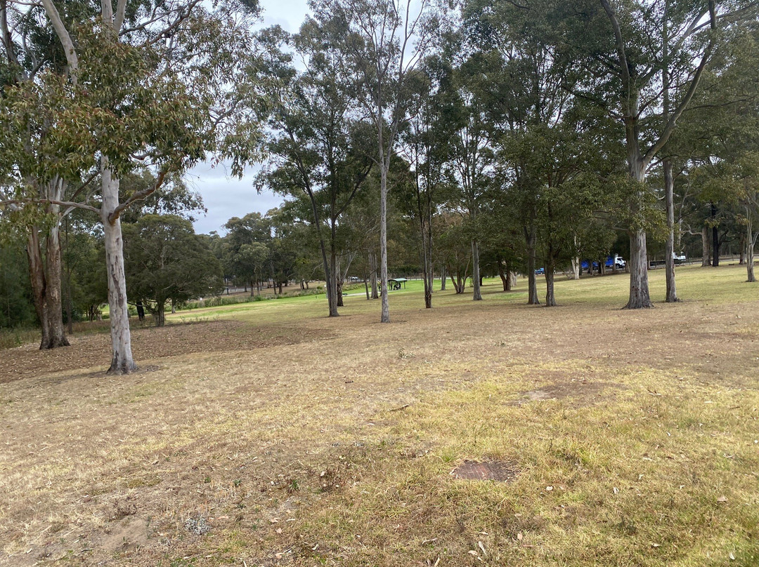 Jude's Campbell Hill Pioneer Reserve