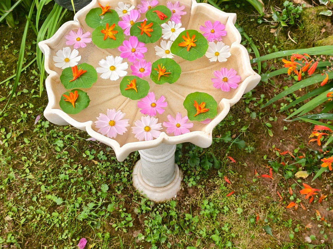 Udechee Huts主图