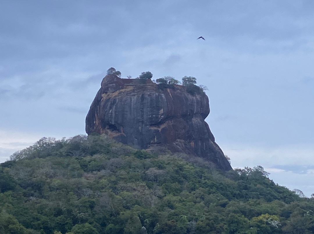 Indika Travel and Tourism Sri Lanka-Kadawata必去景点