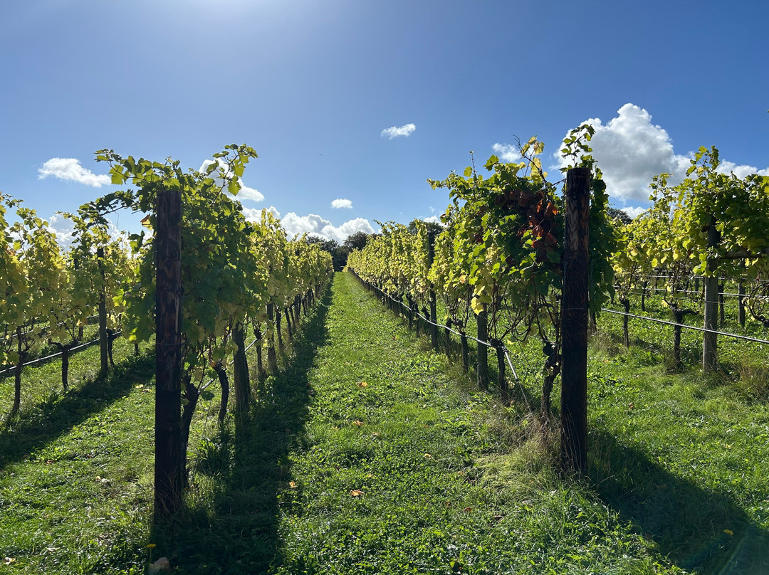 Woodchester Valley Vineyard-斯特劳德必去景点