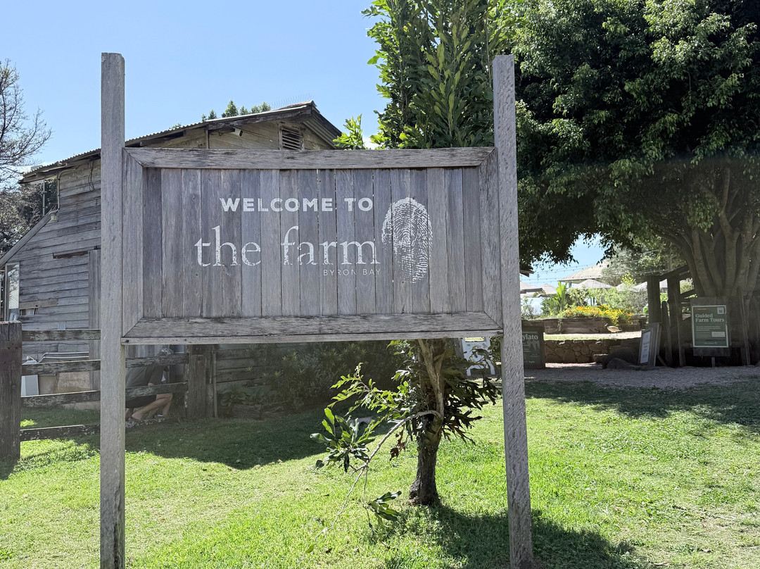 The Farm-拜伦湾必去景点