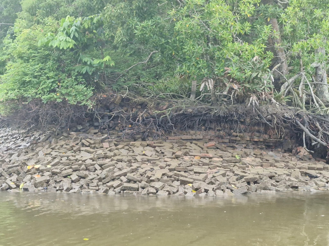 Matang Mangrove Forest Reserve-Kuala Sepetang必去景点