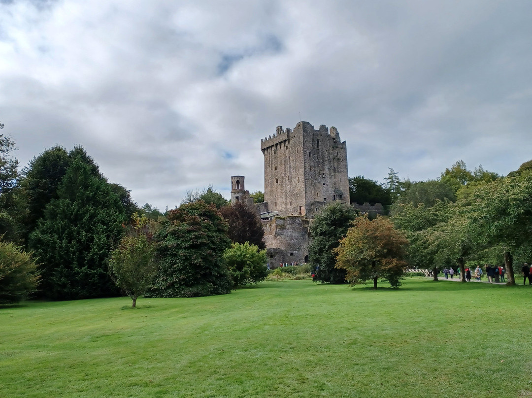 Irish Experience Tours-科克必去景点