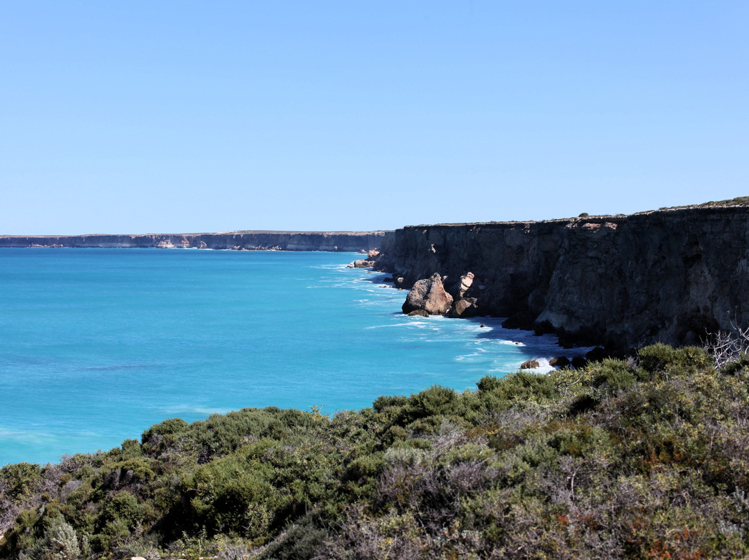 Head of Bight-Ceduna必去景点