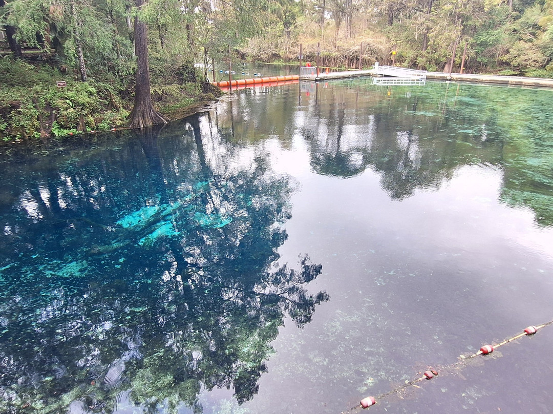Fanning Springs State Park-Fanning Springs必去景点