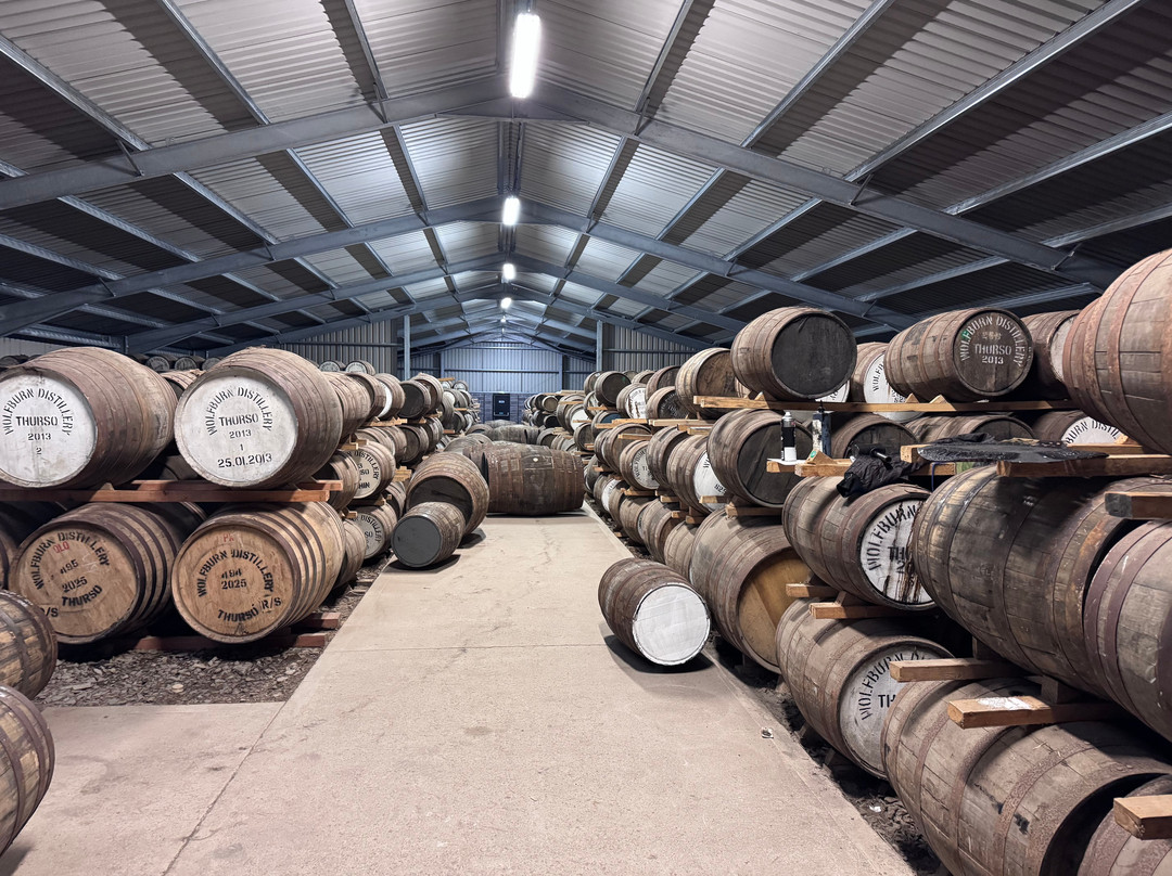 Wolfburn Distillery-Thurso必去景点