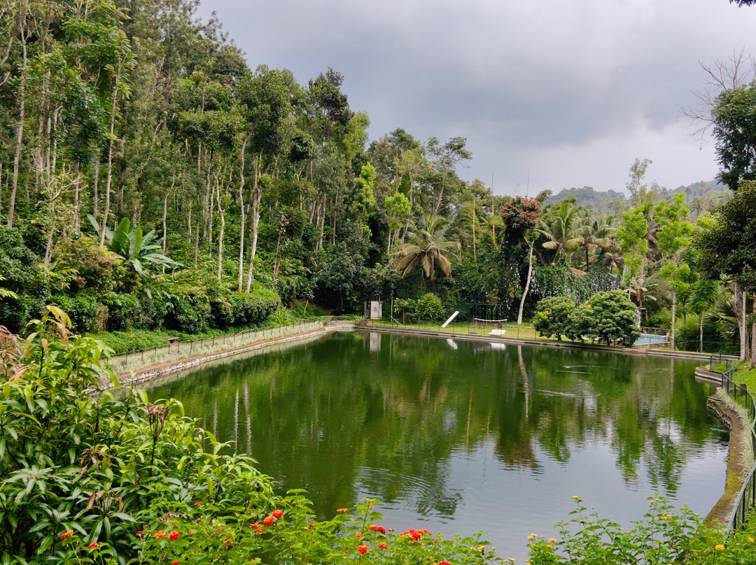 Amaana Plantation Resort主图