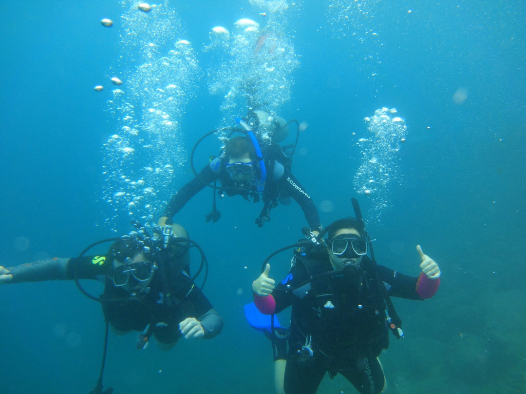 Scubatec PADI Dive Center-Chichiriviche de la Costa必去景点