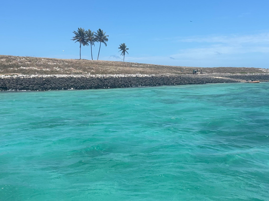 Abrolhos Embarcacoes-Caravelas必去景点