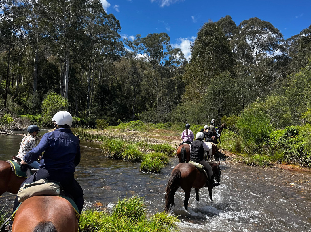 Watson's Mountain Country Trail Rides - Day Tours-曼斯菲尔德必去景点