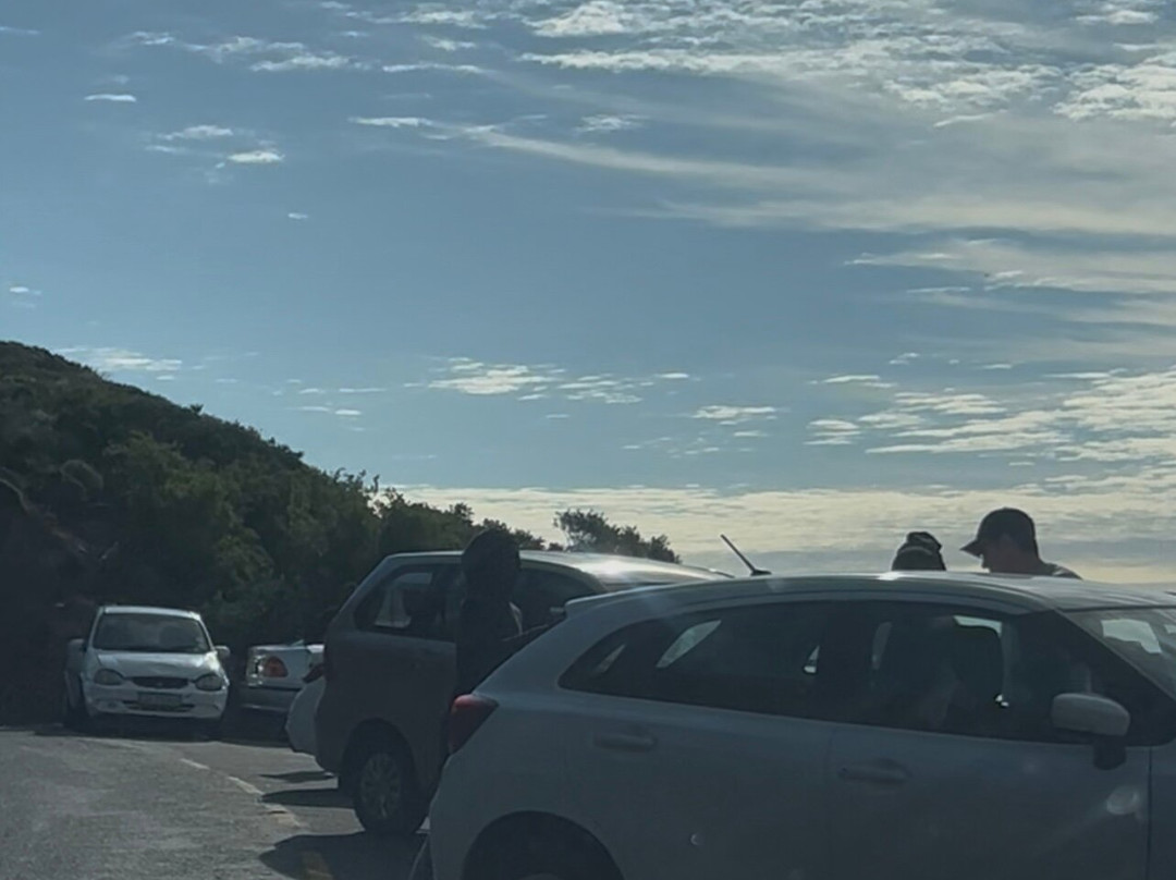 Chapman's Peak Drive-开普敦中心区必去景点