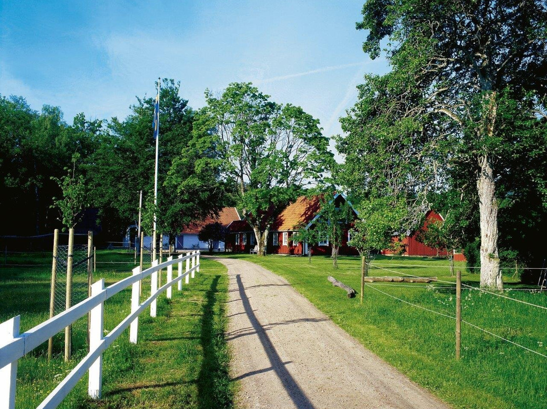Söderåsens Forsgård