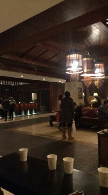 灵山元一丽星温泉酒店-客卧