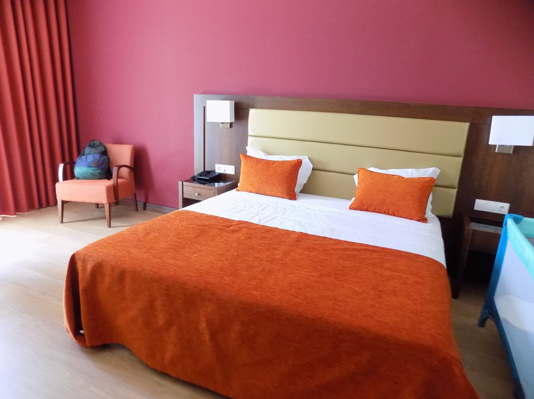 Palace Hotel & Spa Termas do Bicanho