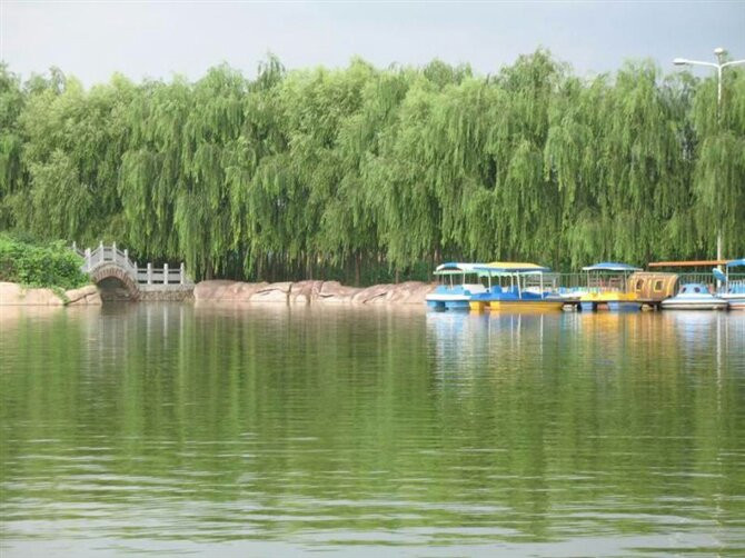 鄢陵花木博览园-鄢陵县必去景点