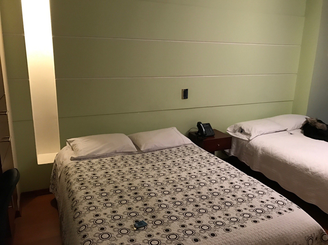 伊皮亚莱斯酒店住宿-Hotel Torre De Cristal