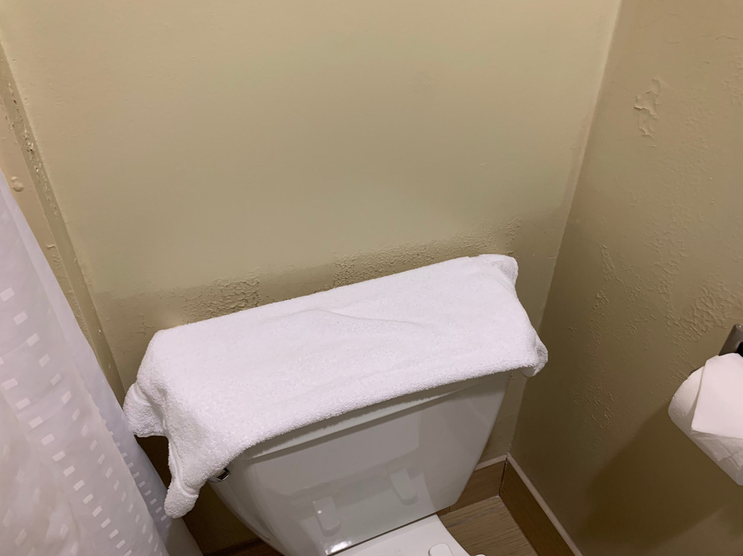 Dover酒店住宿-坎贝尔堡奥克格罗夫快捷假日酒店