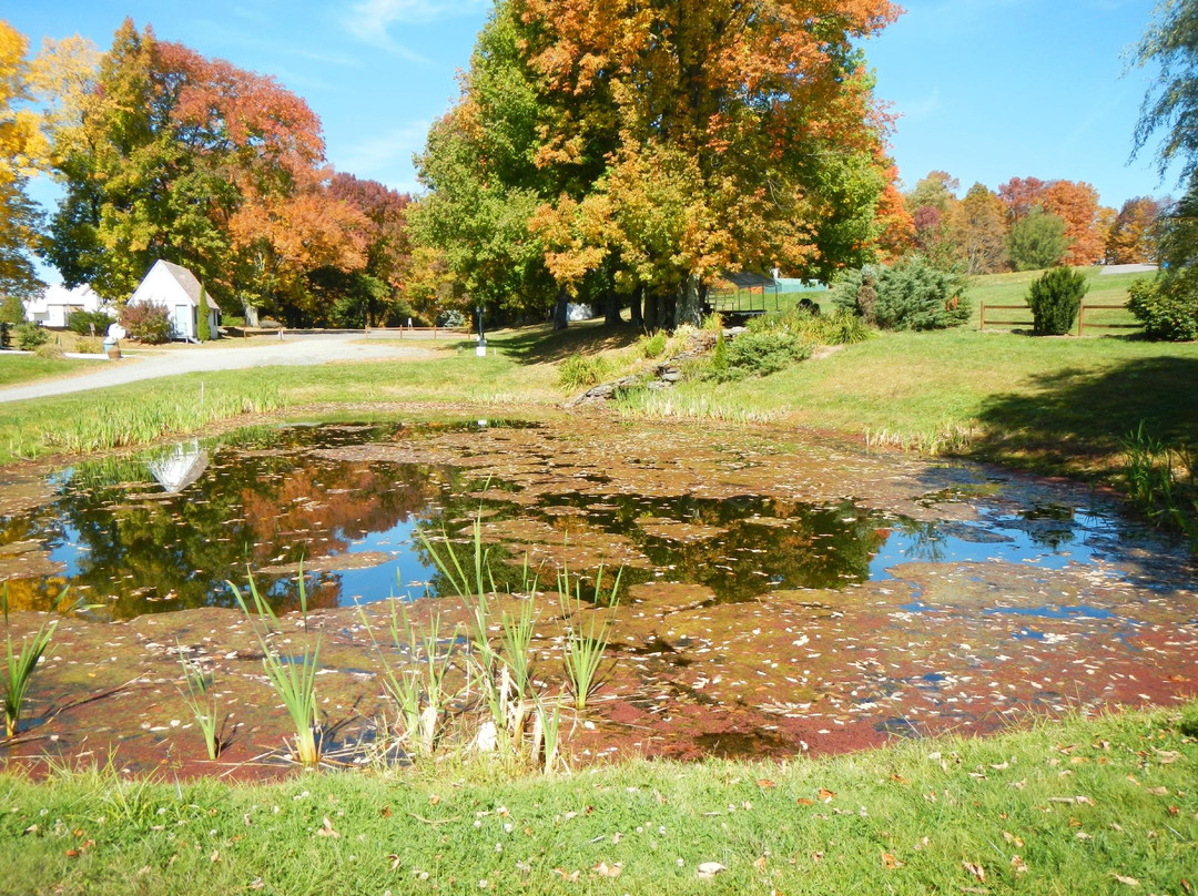 Endless Mountain Resort