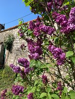 Villa de Lussais主图