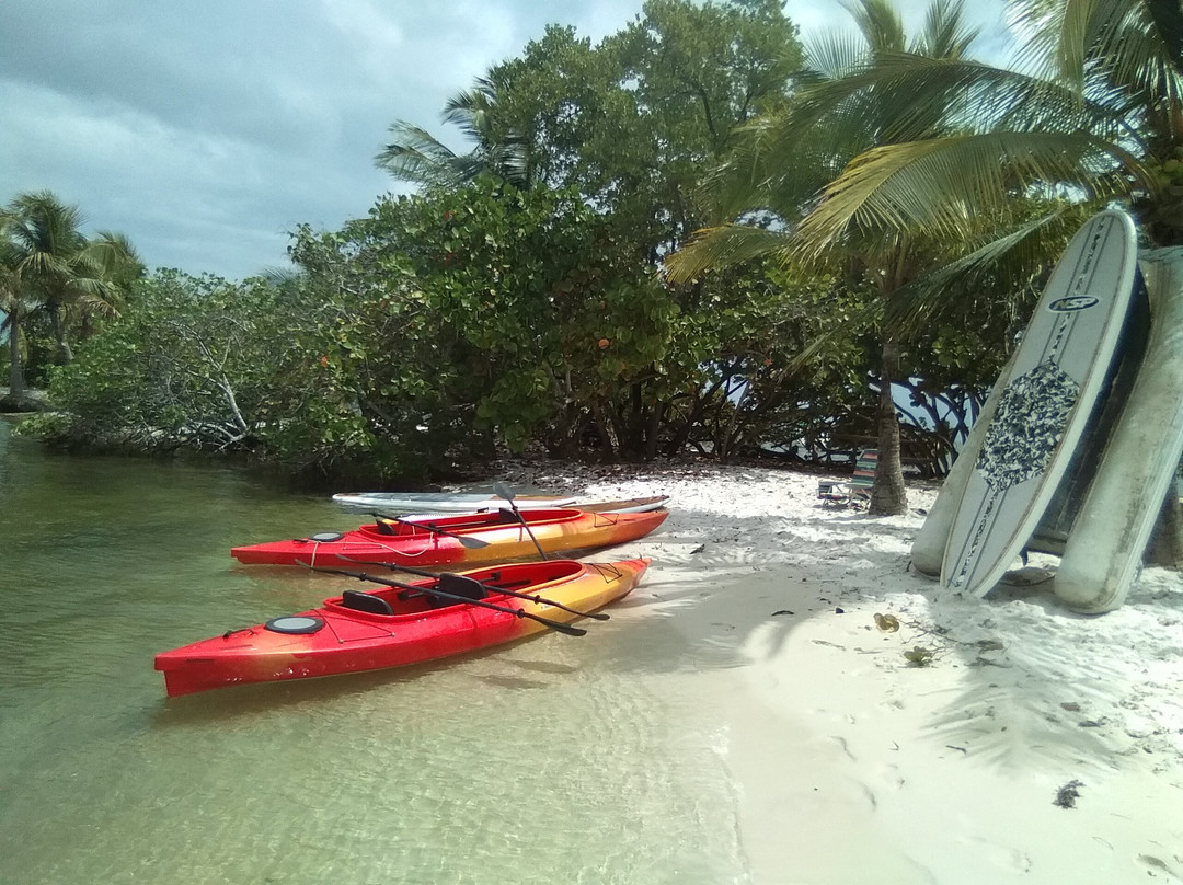 Cool Kayaks-迈阿密必去景点
