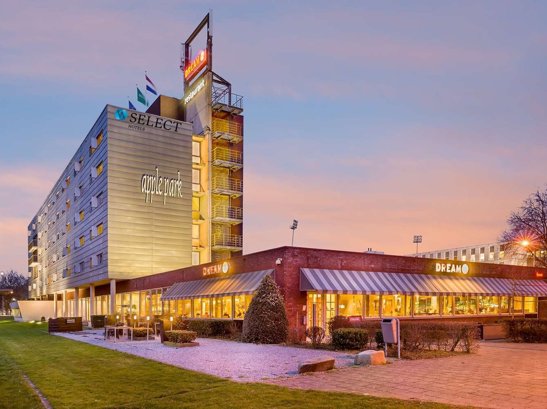 金色郁金香酒店主图