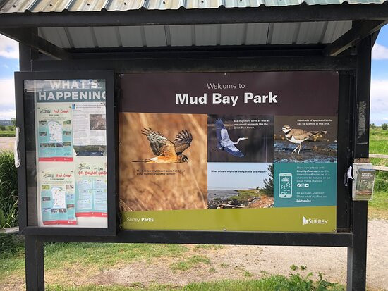 Mud Bay Park景点图片