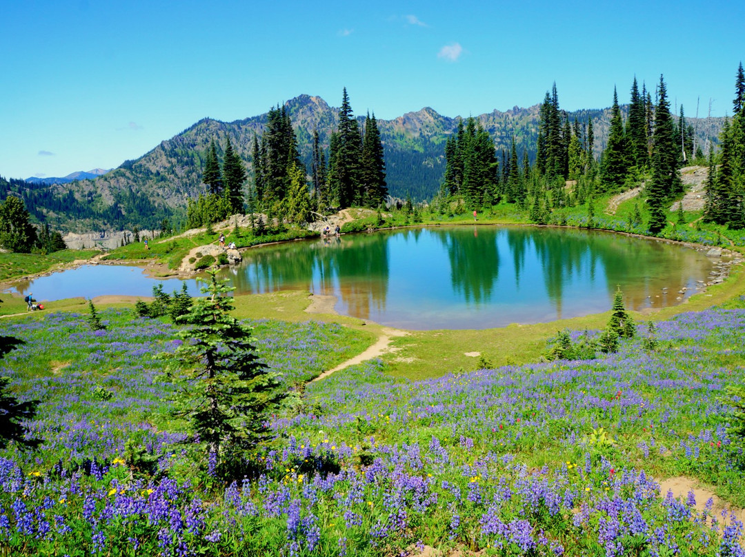 Tipsoo Lake Loop景点图片