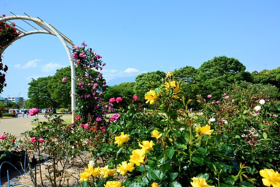 Central Park景点图片