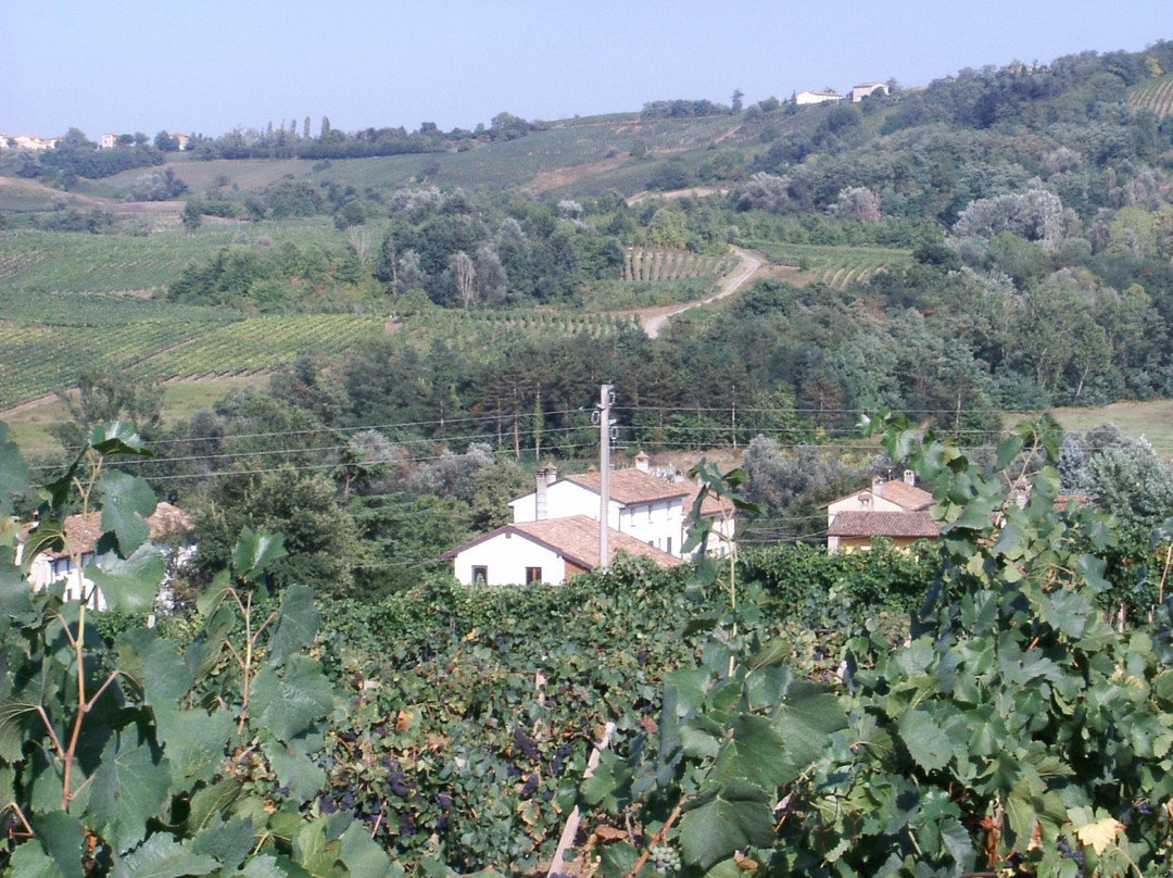 Azienda Agricola Manuelina景点图片