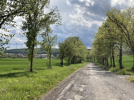 Camp du Ban-Saint-Jean-Boulay-Moselle必去景点