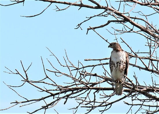 Tewaukon National Wildlife Refuge (NWR)景点图片