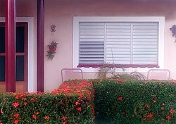 Hostal La Bugambilia主图