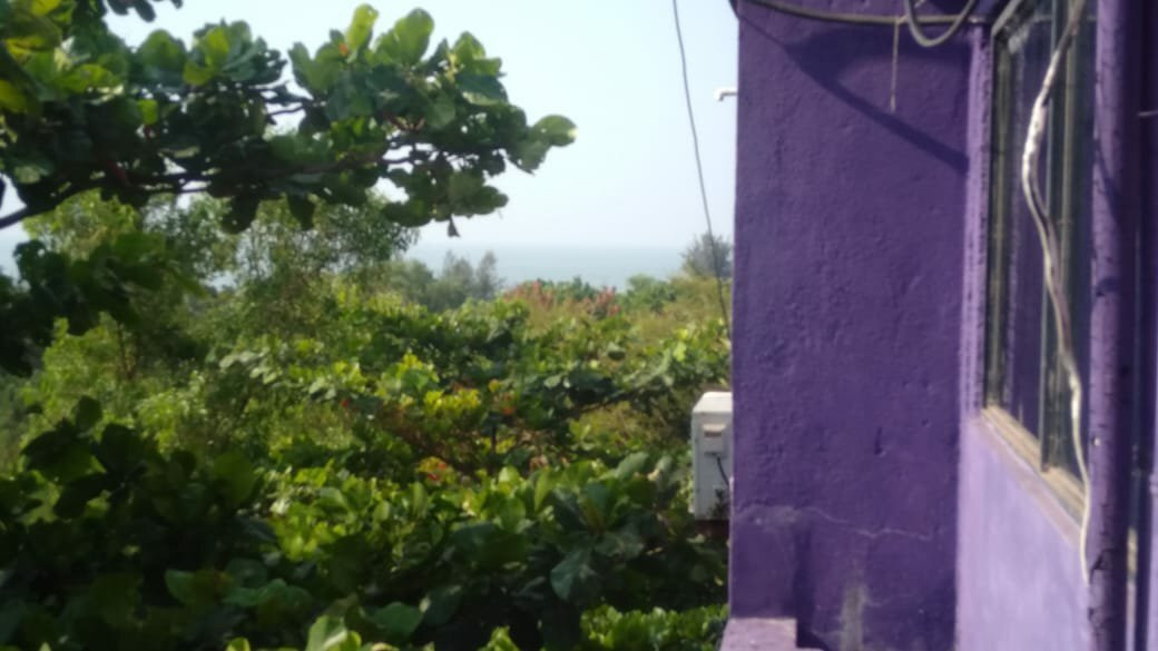 The White feather Hotel主图