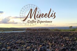 Minelis Coffee Experience景点图片
