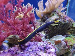 Sevastopol Aquarium-塞瓦斯托波尔必去景点