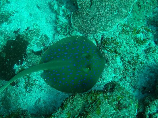 Da Blu Juice-索德瓦纳必去景点