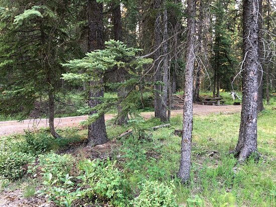 Kootenay National Park景点图片