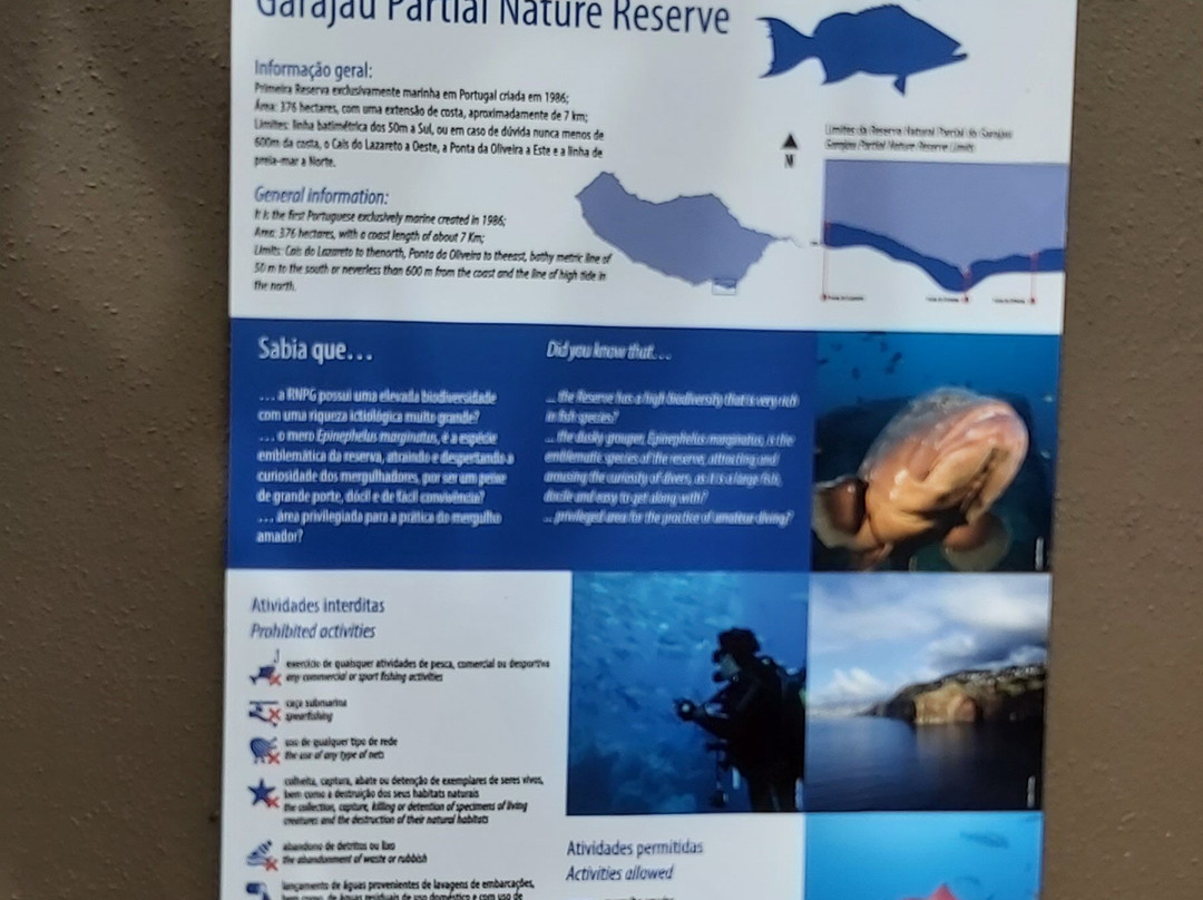 Garajau Partial Nature Reserve-Canico必去景点