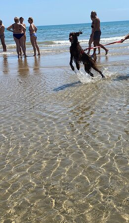 Villaggio Sabbiadoro主图