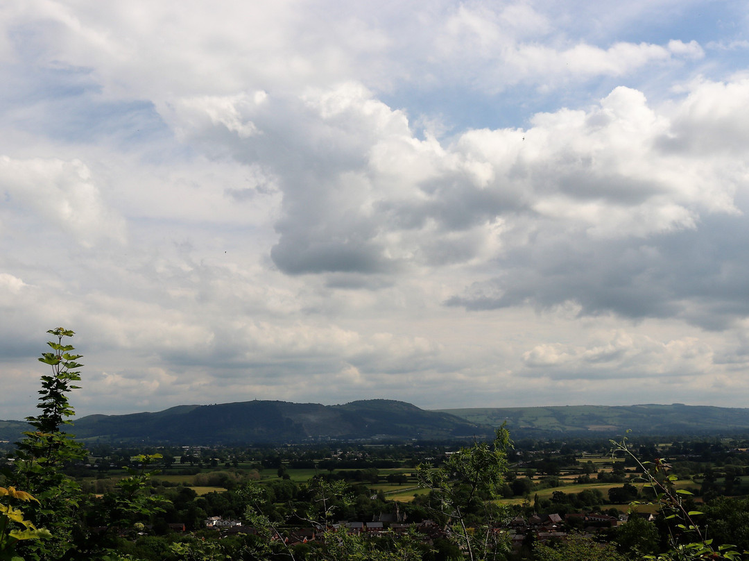 Llanymynech Rocks Nature Reserve景点图片