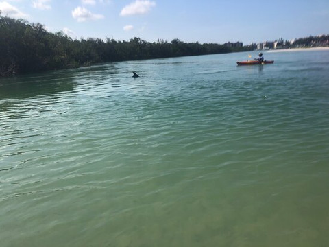 Adventures Kayaking-博尼塔斯普林斯必去景点