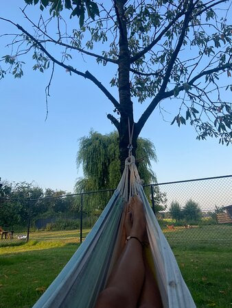 Bed en Breakfast De Stippelberg主图